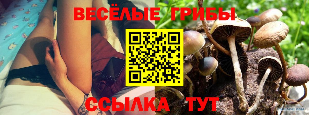 Лесозаводск  Псилоцибиновые грибы Psilocybe  купить наркотики сайты  Вход с VPN 